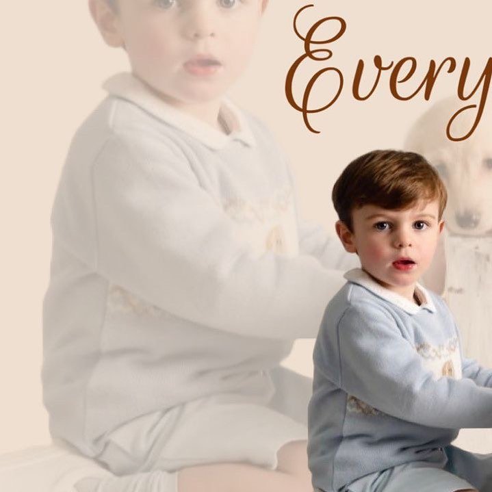 Miniature Dachshund Puppies for Sale, Buy Doxie puppies online