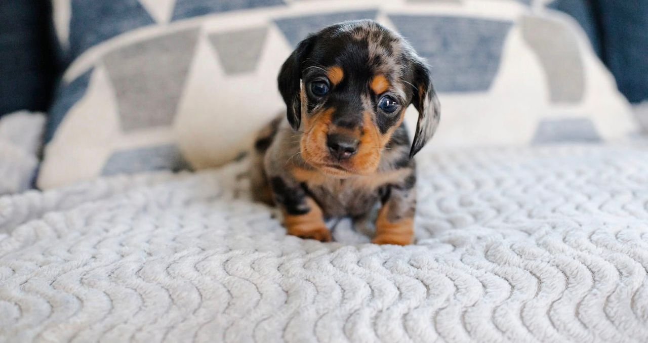 WhatsApp Image 2025-12-15 at 9.11.20 AM