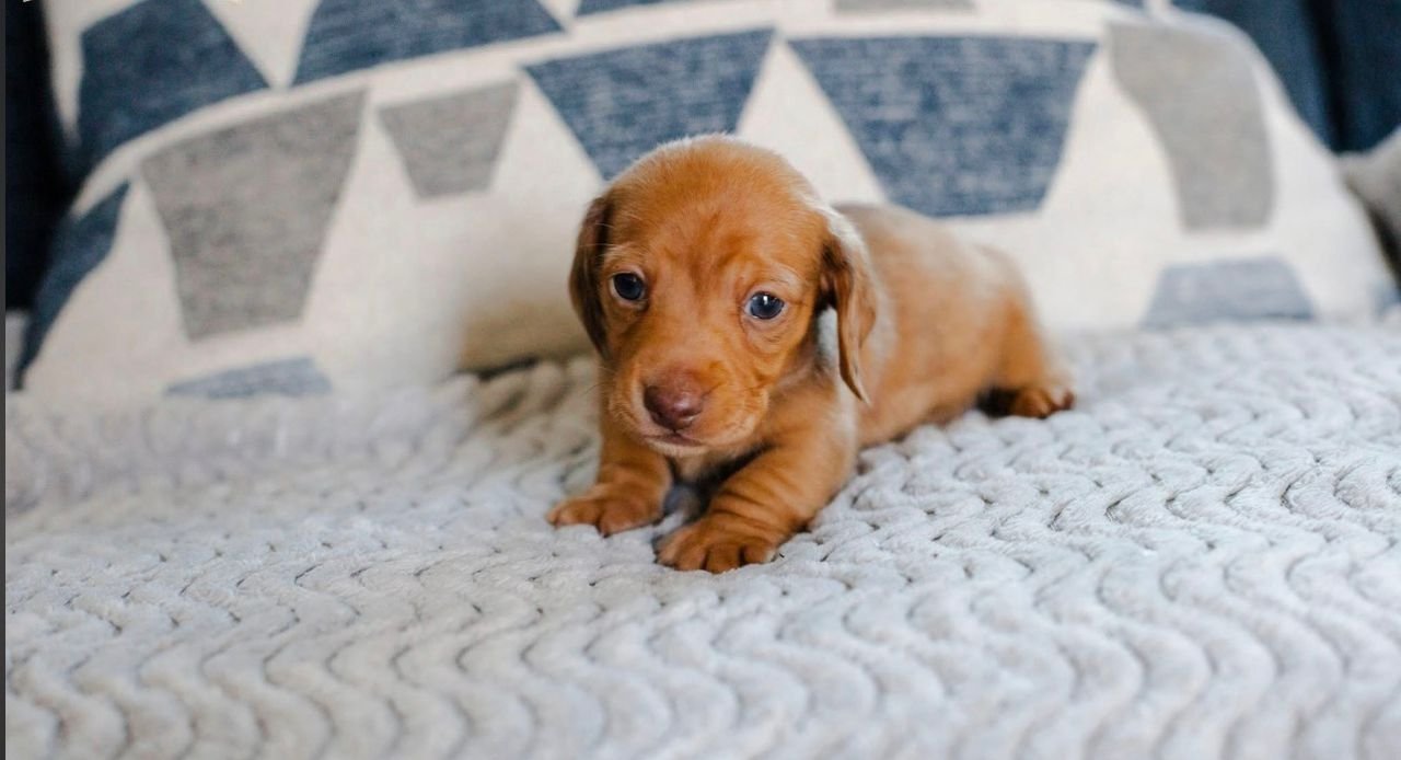 WhatsApp Image 2025-12-15 at 9.11.55 AM (2)