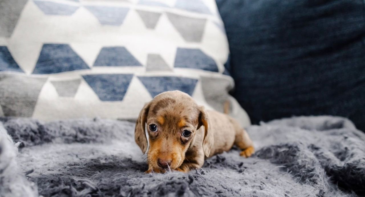 WhatsApp Image 2025-12-15 at 9.12.16 AM (2)